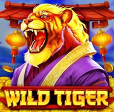 Kaasino online | Wild Tiger